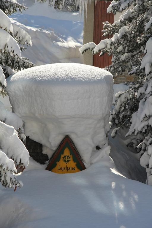 Hotel Lyshaus Gressoney-Saint-Jean Kültér fotó