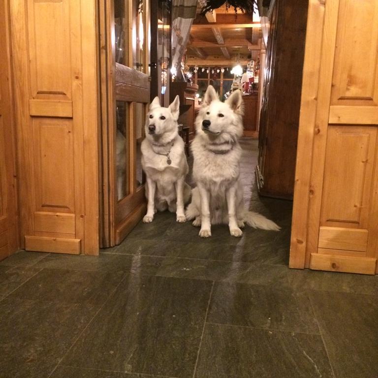 Hotel Lyshaus Gressoney-Saint-Jean Kültér fotó