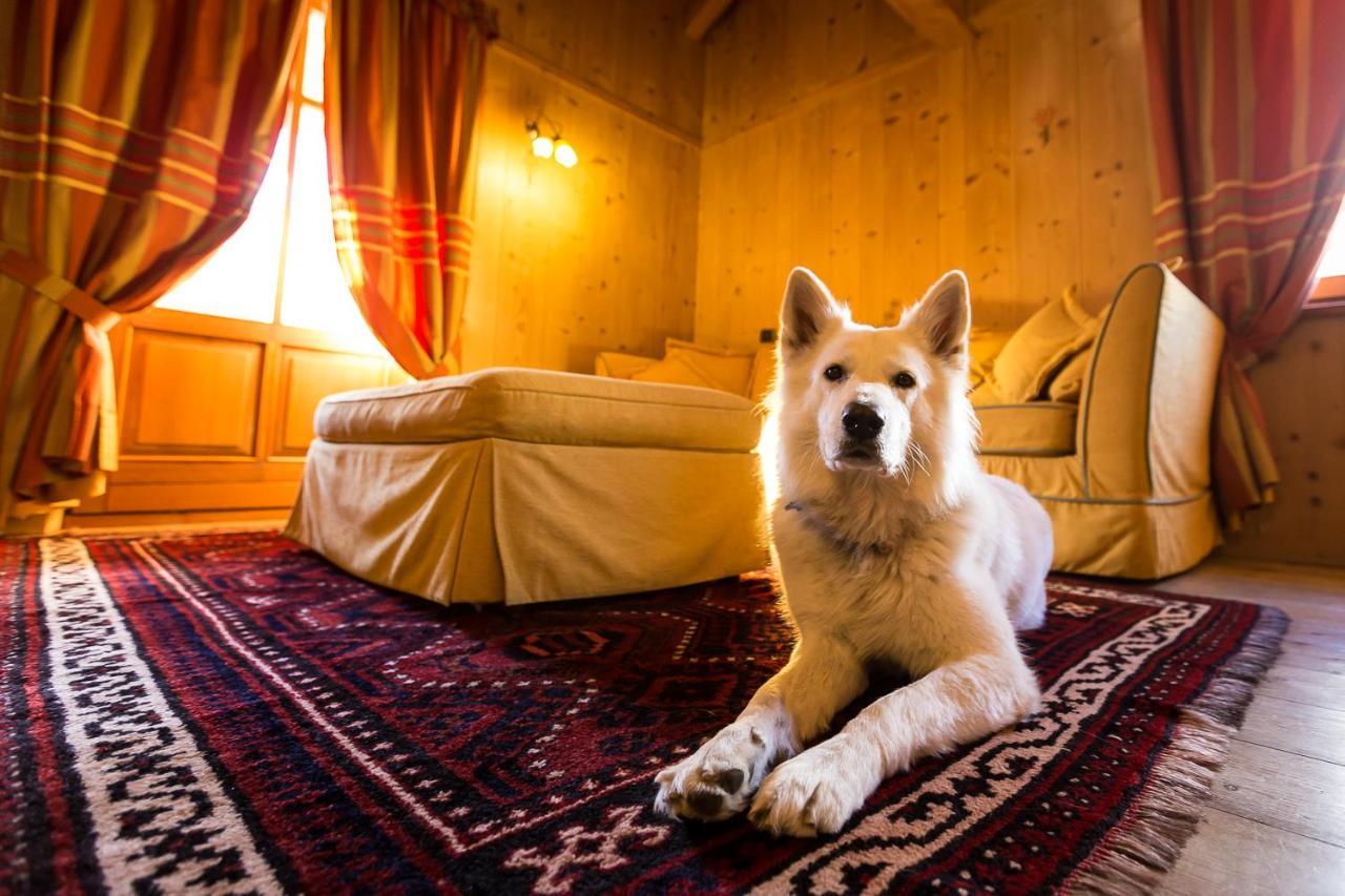 Hotel Lyshaus Gressoney-Saint-Jean Kültér fotó